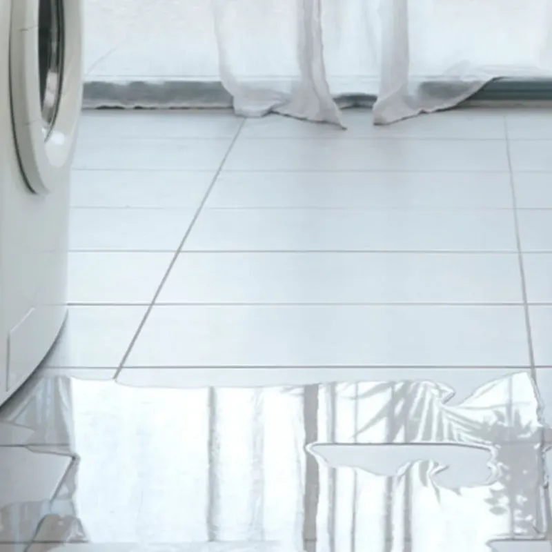 Appliance Leak Cleanup in Springfield, NY