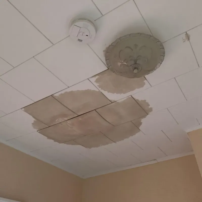 Ceiling Water Damage Repair in Springfield, NY
