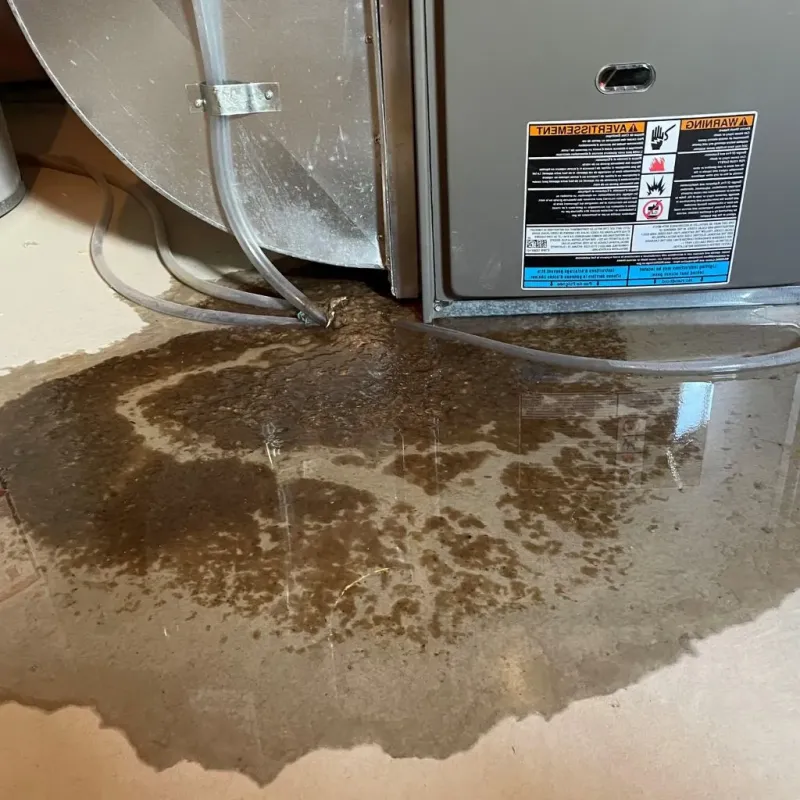Pipe Burst and Leak Restoration in Springfield, NY