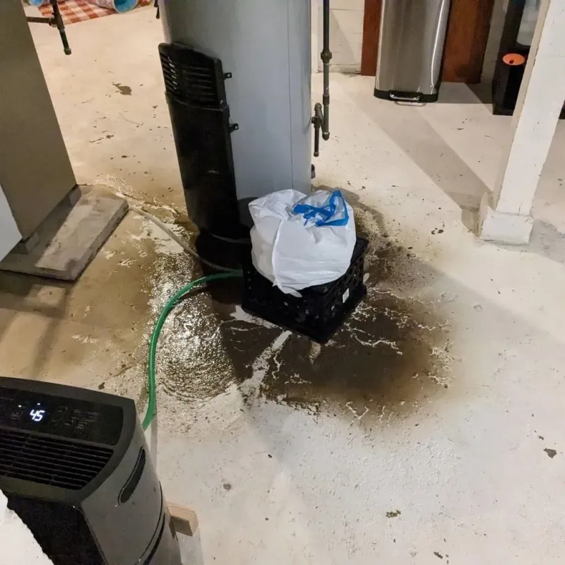 Sewage Backup Cleanup Service in Springfield, NY